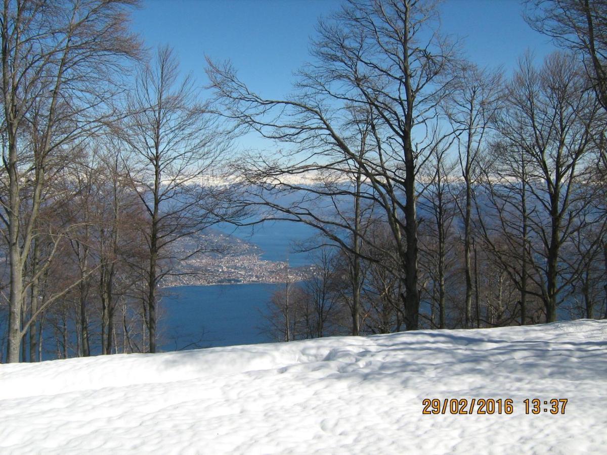 מאסינו ויסקונטי Villa Magnolia Bb, Lago Maggiore מראה חיצוני תמונה