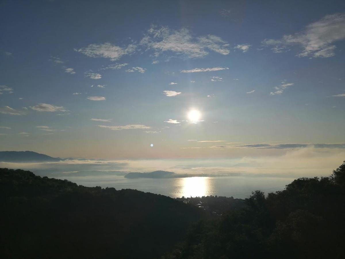 מאסינו ויסקונטי Villa Magnolia Bb, Lago Maggiore מראה חיצוני תמונה