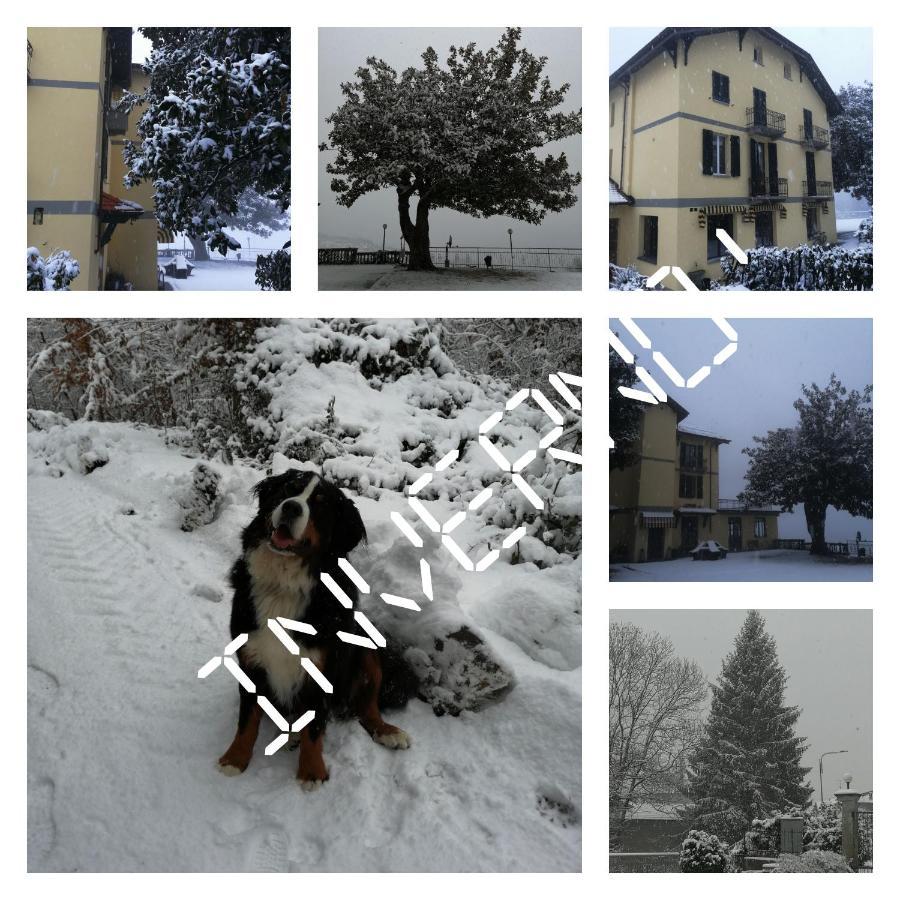 מאסינו ויסקונטי Villa Magnolia Bb, Lago Maggiore מראה חיצוני תמונה